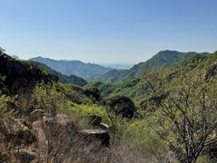 -大岭沟猕猴桃谷风景区