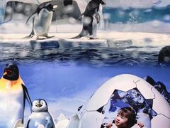 -海合安天津极地海洋公园