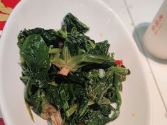 -老碗会·陕西手工面(前海世茂店)