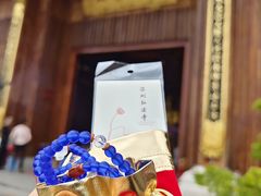 -深圳市中科院仙湖植物园
