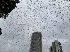 -华雅花园大酒店