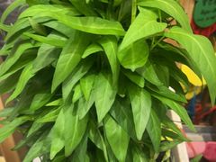 -塘人·老底子宁波菜小馆(南塘老街店)