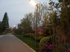 -昆山城市生态森林公园