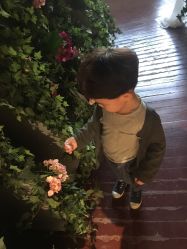 -花开映像儿童摄影