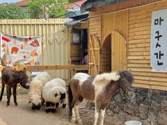 -HERRE·FARM 赫尔露营农场·团建聚会包场