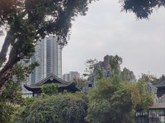 -荔湾湖公园