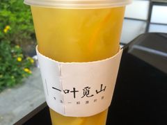 -一叶觅山(半边街店)