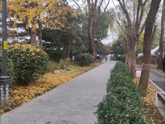 -德胜公园