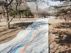 -太阳宫公园