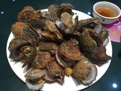 扇贝-蓬莱利华酒店(密汾南街店)