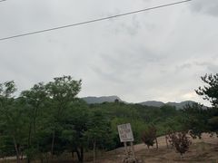 -白水寺森林公园