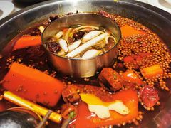 -孙毛肚火锅(春熙路店)