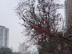 -成都市活水公园
