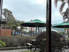 -雨林餐厅(长隆海洋王国店)