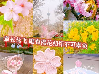 北京采花大盗详细观赏指南之玉渊潭公园