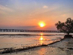 -宝安西湾红树林湿地公园