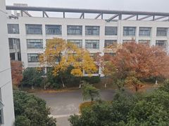 -东华大学(松江校区)