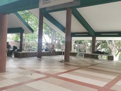 -九龙公园