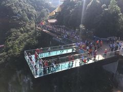 -梦幻奥陶纪景区