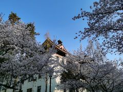 -南京城墙景区