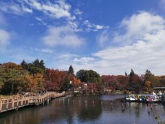-井之头恩赐公园
