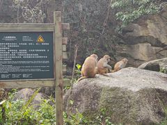 -姑婆山旅游区