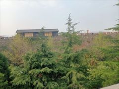 -紫金山山顶公园