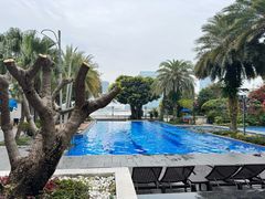 -广州白天鹅宾馆