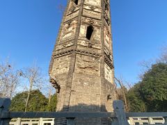 -上海佘山国家森林公园天马山园