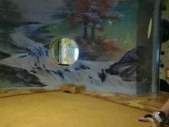 -绿岛汤泉韩式休闲会所
