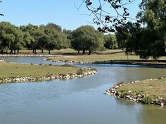 -北京麋鹿生态实验中心