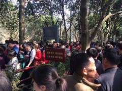 -韶山毛泽东同志故居