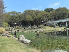 -昆山城市公园