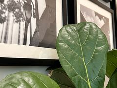 -一尺花园(安和花园店)