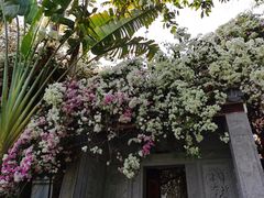 -深圳国际园林花卉博览园