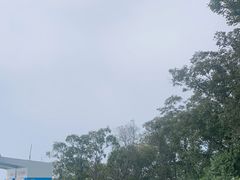 -紫金山山顶公园