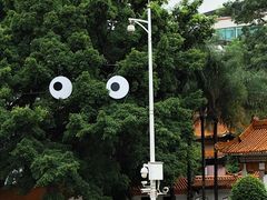 -深圳市中科院仙湖植物园