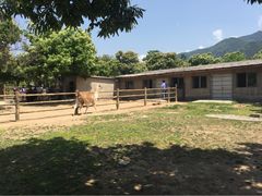 秦岭野生动物园-西安秦岭野生动物园