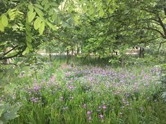 -贵阳市花溪国家城市湿地公园