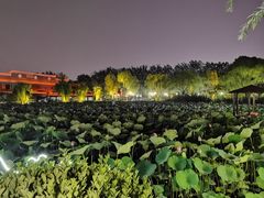 景观位-潇湘甲鱼村(清河店)