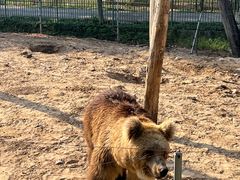 -秦皇岛野生动物园