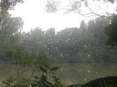 -大湾区中央湿地公园