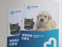 -关爱宠物医院·猫科中心·消化科(滨湖万达分院)