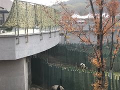 -沈阳森林动物园