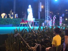 -渔家火锅·海鲜自助餐·演艺(亚龙湾天域酒店)