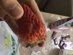 -水果地带(中航国际店)