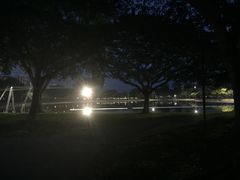 夜景-珍宝海鲜(东海岸海鲜中心)