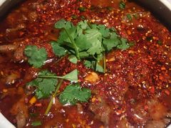 -雀蓝川菜(奥体广场店)