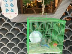 -猫色咖啡·猫咖
