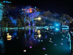 -印象普陀